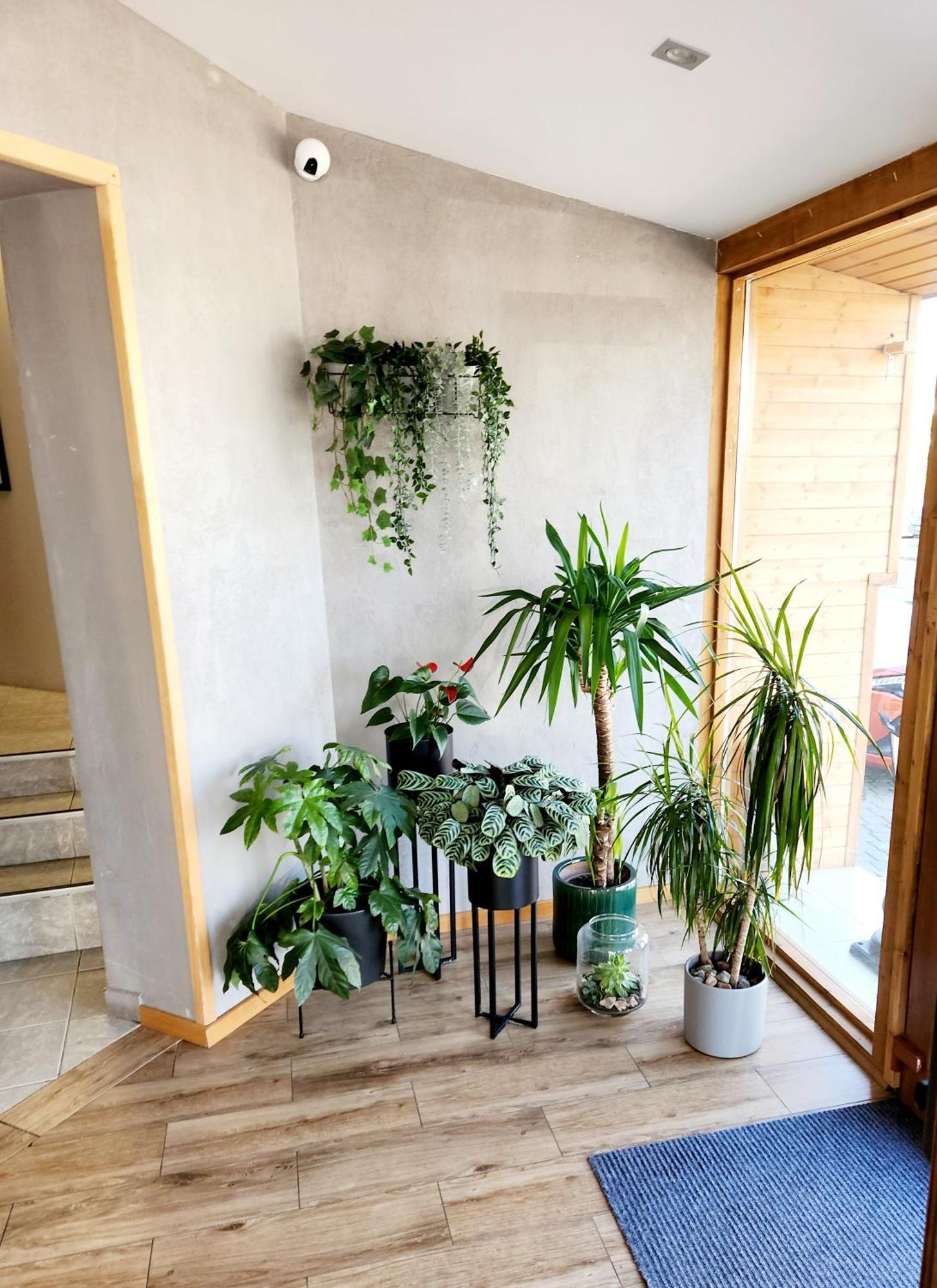 Bed and Breakfast Royal Gdansk Exterior foto